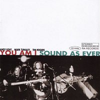 You Am I – Sound As Ever