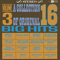 Různí interpreti – A Collection Of 16 Original Big Hits Vol. 3