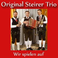 Original Steirer Trio – Wir spielen auf