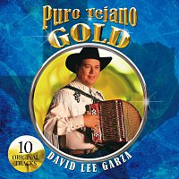 David Lee Garza – Puro Tejano Gold