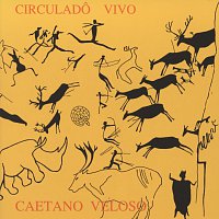 Přední strana obalu CD Circulado Vivo