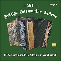 D' Neuneralm Musi – 20 Fetzige Harmonika Stücke - Folge 2