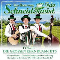 Přední strana obalu CD Das Beste vom SCHNEIDERWIRT TRIO - Folge 1 - Die groszen KERN BUAM-Hits