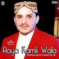 Shahbaz Qamar Fareedi – Aaya Kamli Wala, Vol. 28 [Live]