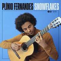 Plínio Fernandes – Snowflakes