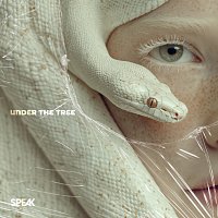 Přední strana obalu CD Under The Tree