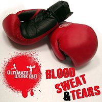 Různí interpreti – The Ultimate Workout Collection: Blood Sweat And Tears
