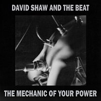 David Shaw And The Beat – The Mechanic Of Your Power