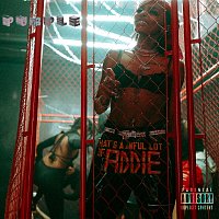 Přední strana obalu CD Purple