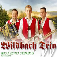 Wildbach Trio – Was a echta Steirer is