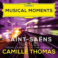 Saint-Saens: Carnival of the Animals, R. 125: 4. Turtles [Musical Moments]