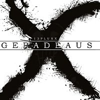 13pluXX – Geradeaus