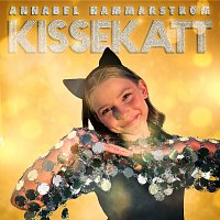 Přední strana obalu CD Kissekatt