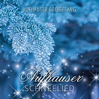 Aufhauser Dreigesang – Aufhauser Schneelied