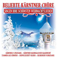 Beliebte Karntner Chore singen ihre schonsten Weihnachtslieder