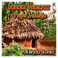 Sonora Veracruz de Pepe Vallejo – Mi Lindo Bohío