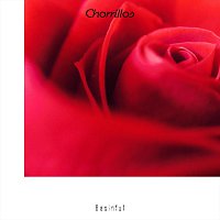Basinful – Chorrillos
