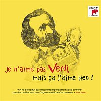 Various  Artists – Je n'aime pas Verdi, mais ca j'aime bien !