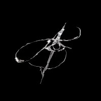 Asster, lohleq – ONE EYE