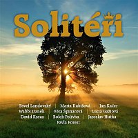 Soliteri – Solitéři