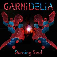 Přední strana obalu CD Burning Soul