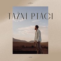 Lipo – Tažní ptáci