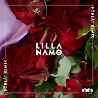 Lilla Namo – Forlat (Safari Sound & Adde Remix)