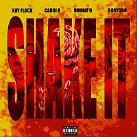 Kay Flock, Cardi B, Dougie B, Bory300 – Shake It