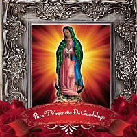 Various  Artists – Para Ti Virgencita De Guadalupe