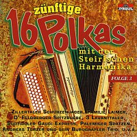 Přední strana obalu CD 16 zunftige Polkas mit der Steirischen Harmonika / Folge 3