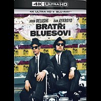 Bratři Bluesovi