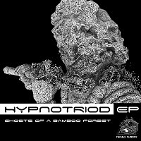 Hypnotriod – EP - Ghosts of a Bamboo Forest
