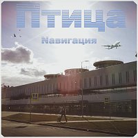 Птица