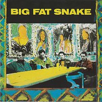 Přední strana obalu CD Big Fat Snake