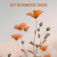 James Shanon, Yann Nyman, Robin Mahler – Soft Instrumental Covers