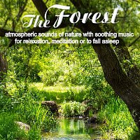 Nature Sounds with relaxing music – The Forest, atmospheric sounds of nature with soothing music for relaxation, meditation or to fall asleep