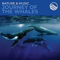 David Arkenstone – Nature & Music: Journey Of The Whales