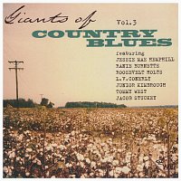 Různí interpreti – Giants of Country Blues Guitar Vol. 3