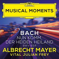 J.S. Bach: Nun komm, der Heiden Heiland, BWV 659 (Adapt. Frey for Oboe and Harpsichord) [Musical Moments]