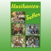 Různí interpreti – Musikantentreffen