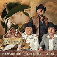 Francisco "El Gallo" Elizalde, Jesús "El Flaco" Elizalde, Joel Elizalde – Anoranza