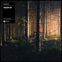 Přední strana obalu CD Woody EP