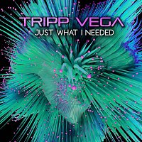 Tripp Vega – Just What I Needed
