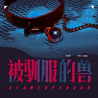 Přední strana obalu CD ?????