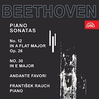 František Rauch – Beethoven: Klavírní sonáty