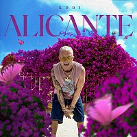 KoDi, Krupek – Alicante