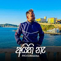 Přední strana obalu CD Aithi Ne