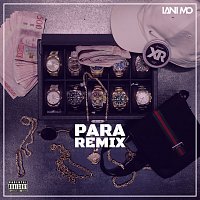 Lani Mo, Ricky Rich, Thrife, Dree Low, Blizzy, Nathan K – PARA [Remix]