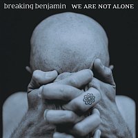 We Are Not Alone [Clean Version]