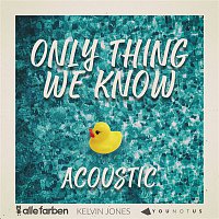 Alle Farben & YouNotUs & Kelvin Jones – Only Thing We Know (Acoustic)